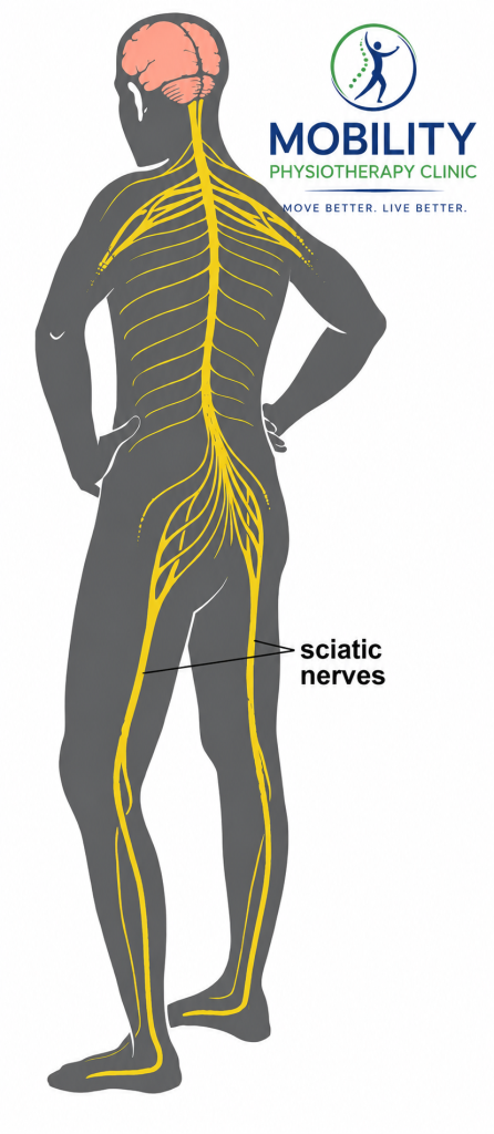 Treat shooting pain from back to leg in Lagos